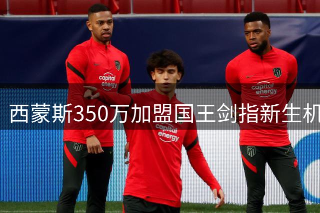 西蒙斯350万加盟国王剑指新生机 专家看好其天赋未来
